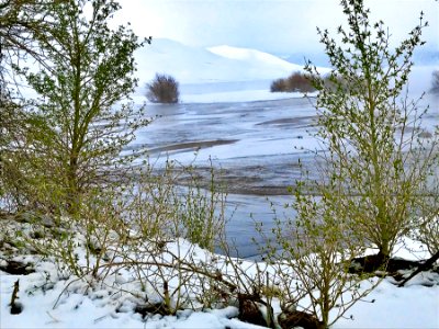 Snow on the Dunes, May 18 (51189687685)