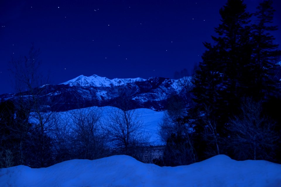 Snowy Forest, Dunes, and Cleveland Peak (49563405122)