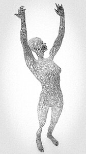 Woman 3d model the grid