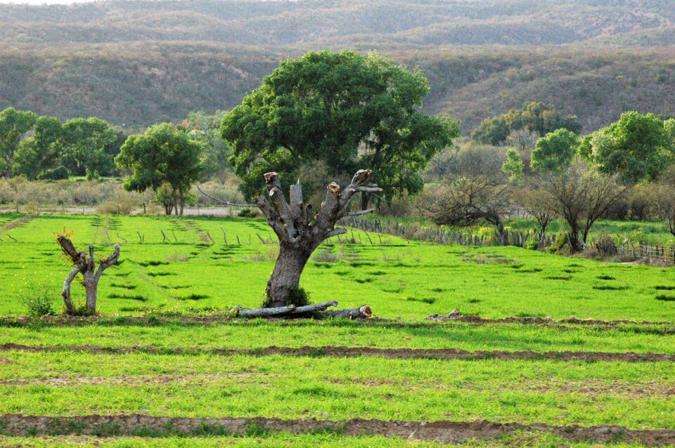 Landscape nature rural