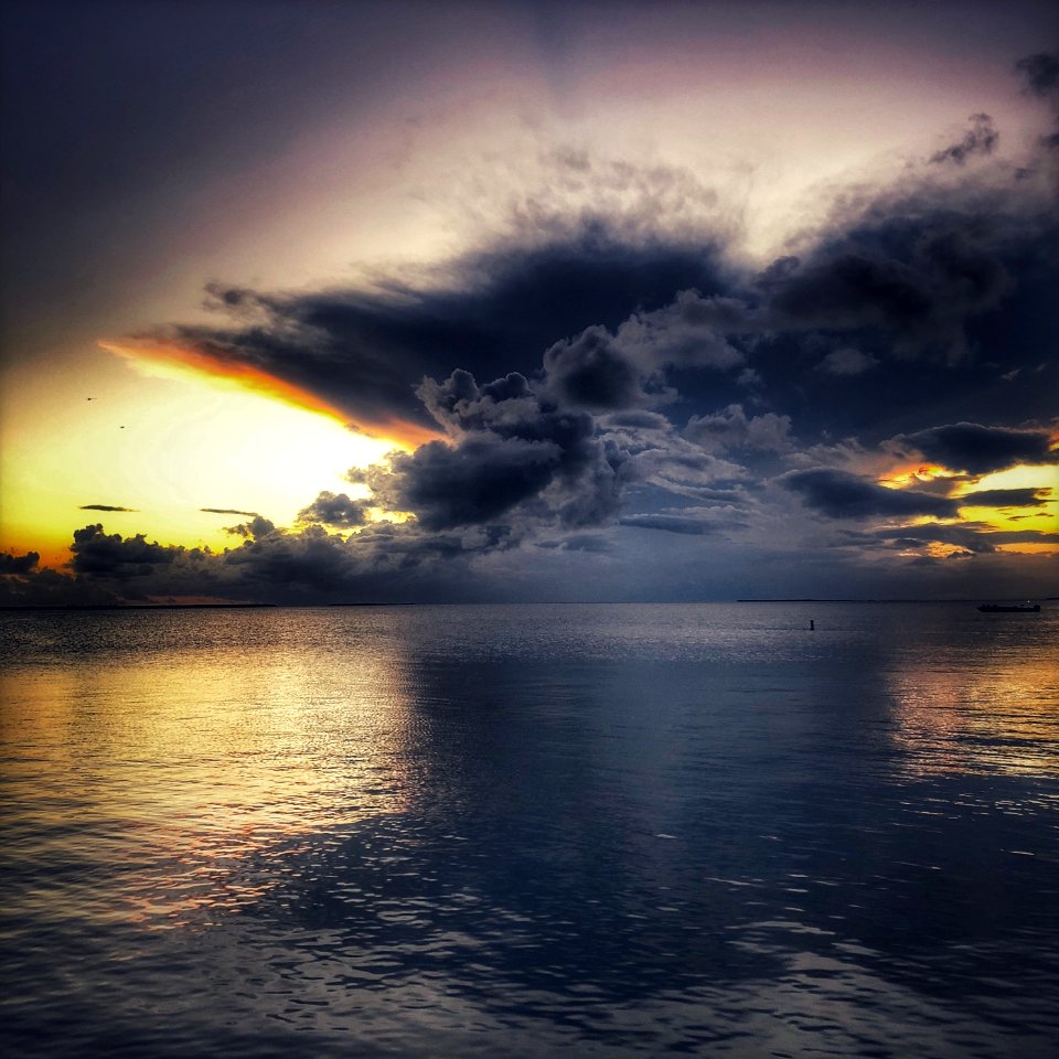 Softly Rumble - Flickr - GR167