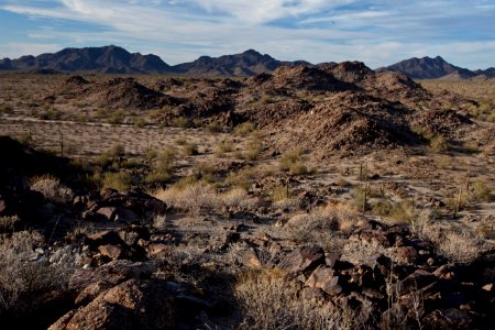 Sonoran Desert National Monument (26094140714) photo