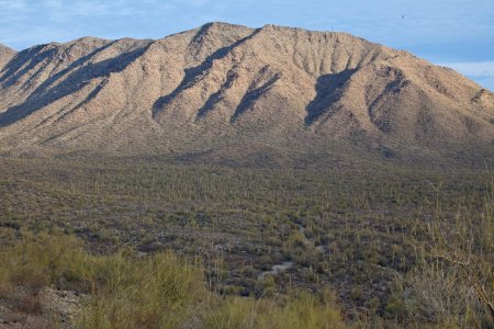 Sonoran Desert National Monument (26095766333) photo