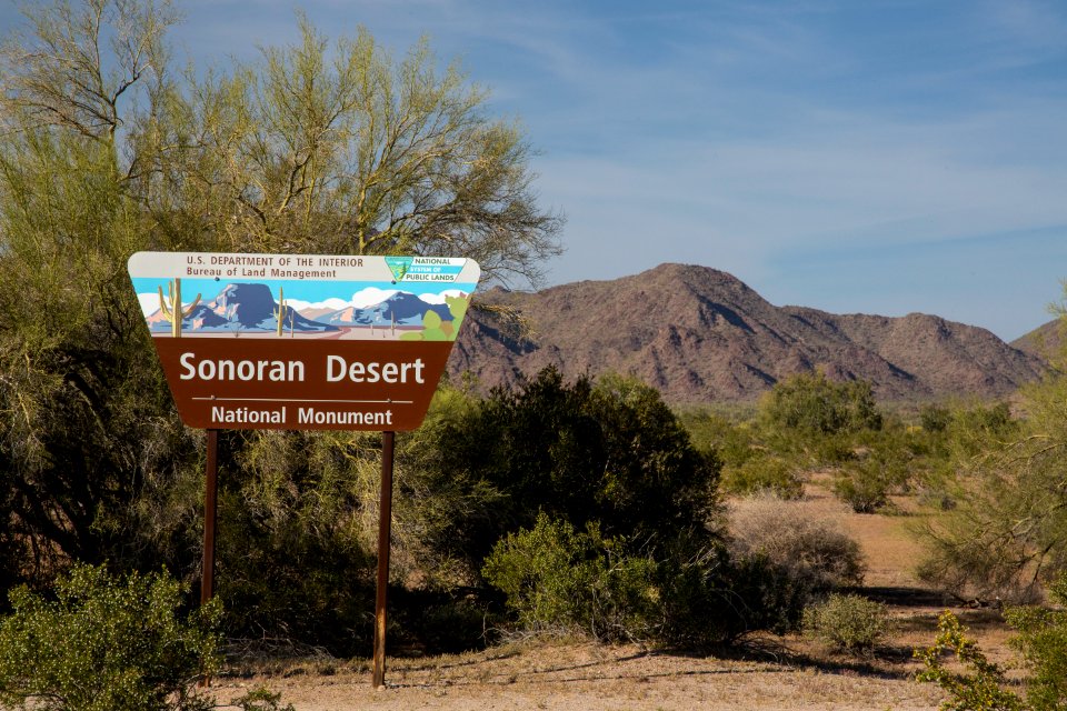 Sonoran Desert National Monument (26247912054)
