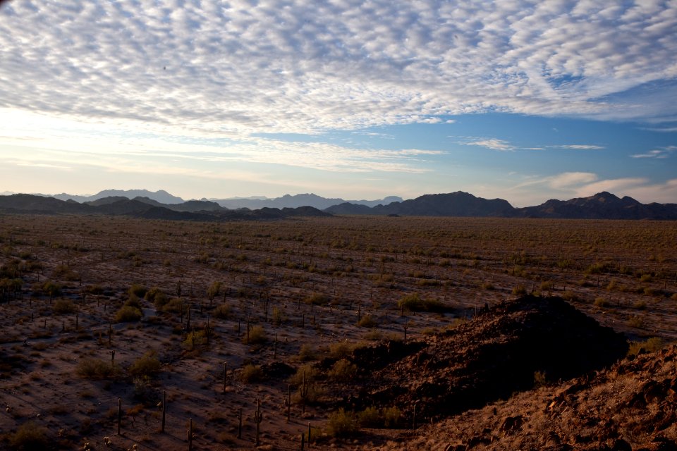 Sonoran Desert National Monument (26426912060)