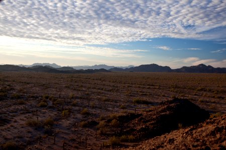 Sonoran Desert National Monument (26426912060)