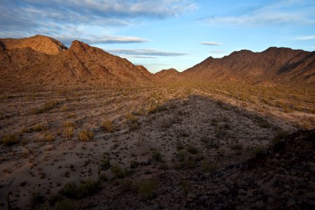 Sonoran Desert National Monument (26426918720)