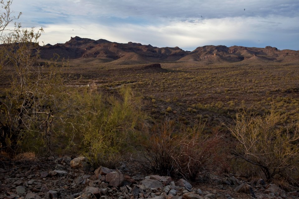 Sonoran Desert National Monument (26095775863)