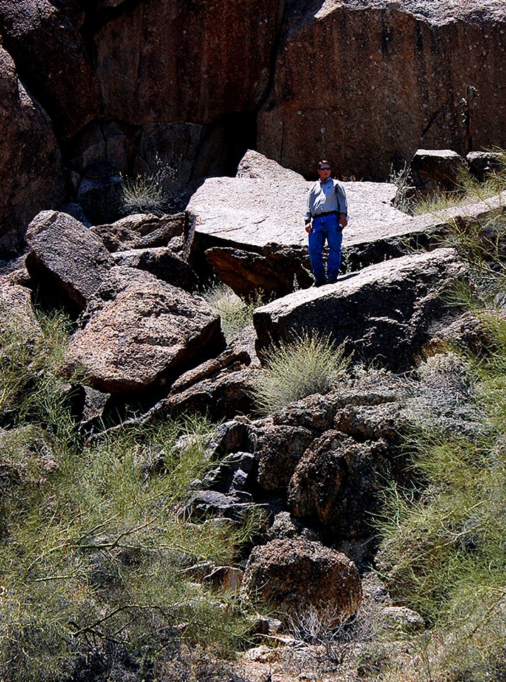 Sonoran Desert National Monument (26248966483)