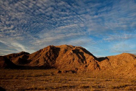 Sonoran Desert National Monument (26426913720)