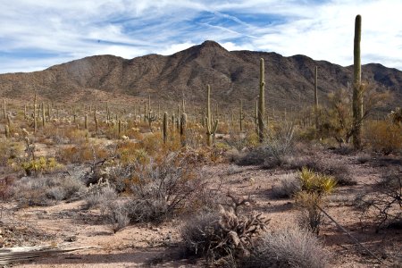 Sonoran Desert National Monument (26427043490)