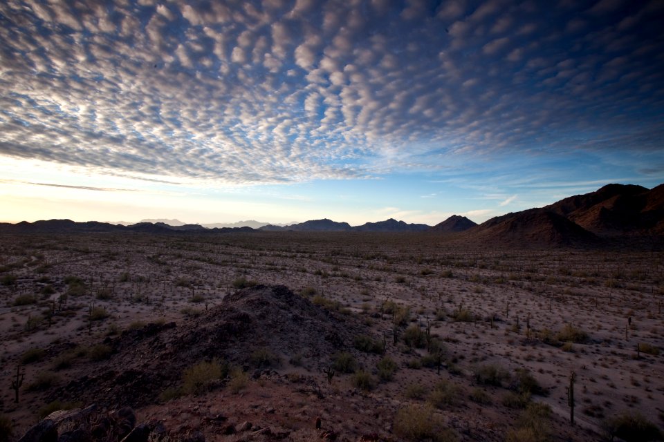 Sonoran Desert National Monument (26426919860)
