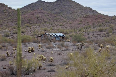 Sonoran Desert National Monument (26095855843)