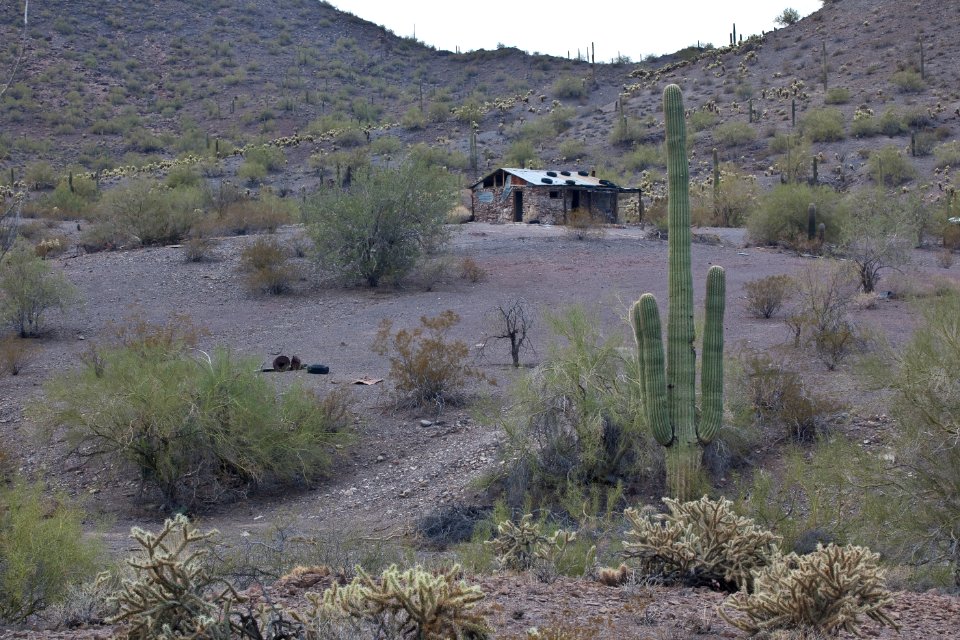 Sonoran Desert National Monument (26427100630)