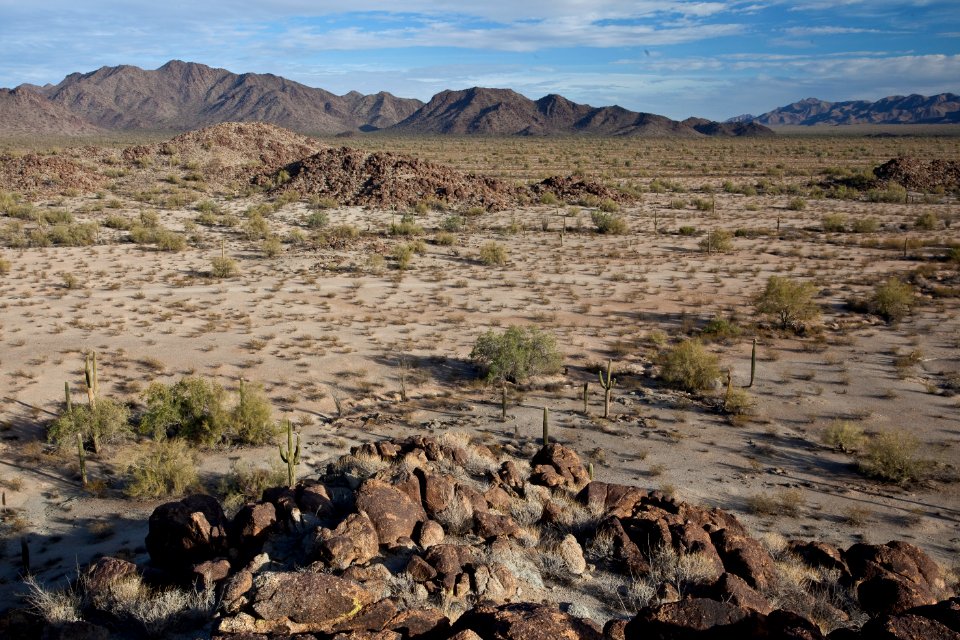 Sonoran Desert National Monument (26095883303)