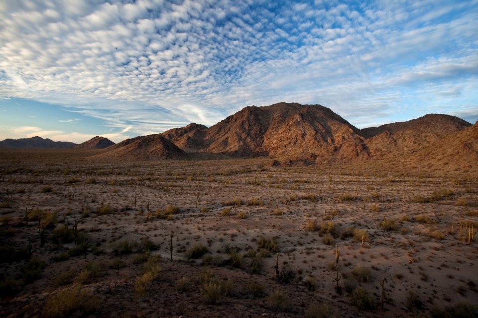 Sonoran Desert National Monument (26426915480)