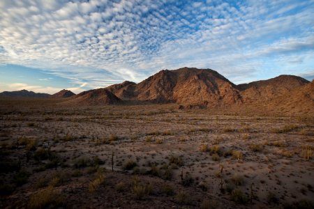 Sonoran Desert National Monument (26426915480)