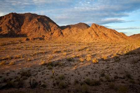 Sonoran Desert National Monument (26426922030)