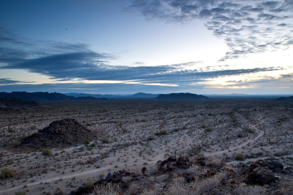 Sonoran Desert National Monument (26426922800)