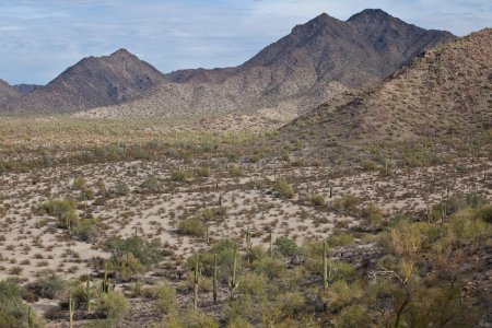 Sonoran Desert National Monument (26699760545)