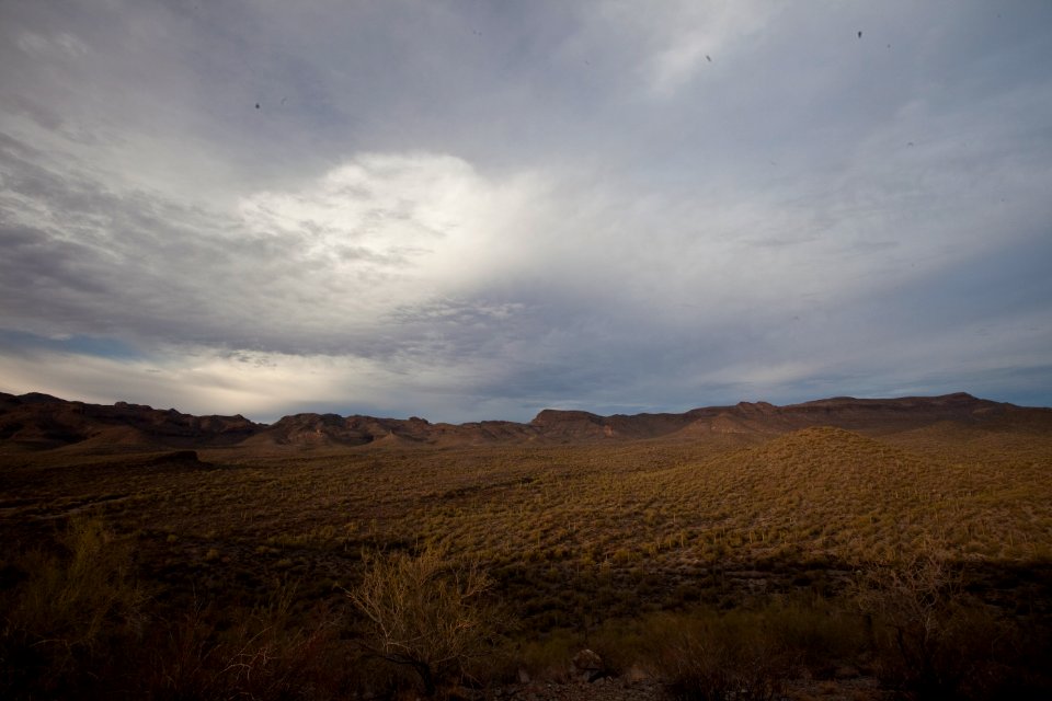 Sonoran Desert National Monument (26699838175)
