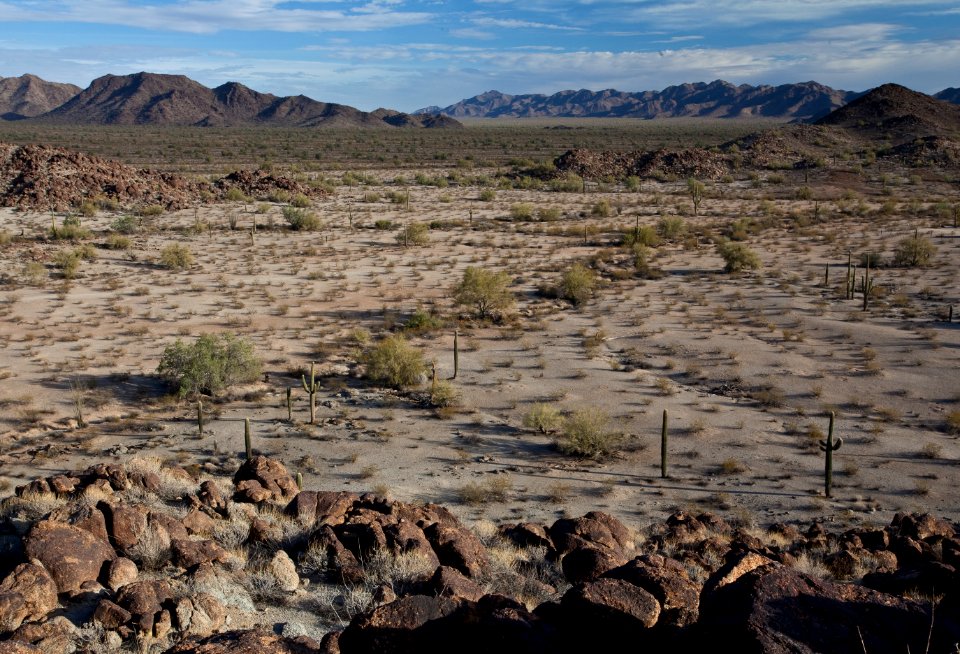 Sonoran Desert National Monument (26633837921)