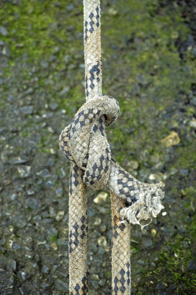 Maritime macro detail