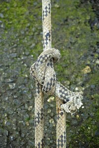 Maritime macro detail