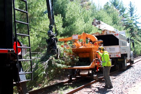 South Coast Rail, May 2019, Tree Clearing, Berkley (40830643663)