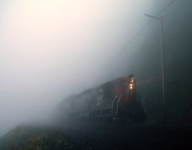 SP 4429 eastbound at Cruzatte, OR on July 30, 1987 (33170843871)