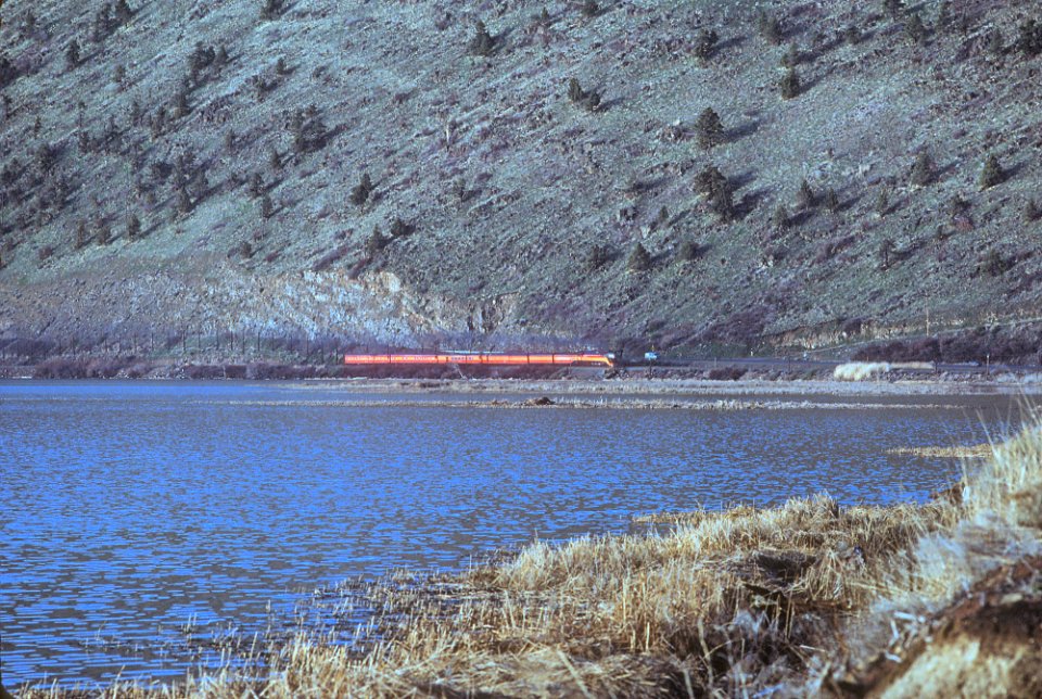 SP 4449 Disney Daylight at Modoc Point and Algoma, OR along Klamath Lake in March 1986 (33143571812)
