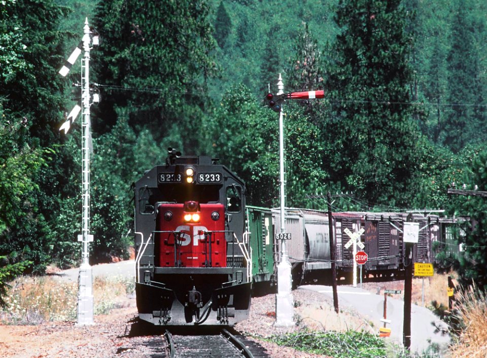 SP 8233 at signal 5026 just east of Wolf Creek at the Warner Road crossing in July 1982 (33081929122)