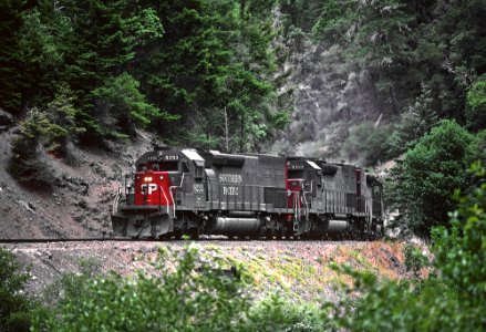 SP 8233, 8502, and 8234 Tunnel Motors in Cow Creek Canyon, OR on July 30, 1982 (32778283220)