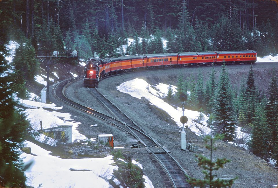 SP 8516 and 4449 With the Disney Daylight at Cruzatte, OR in March 1986 (33170844871)