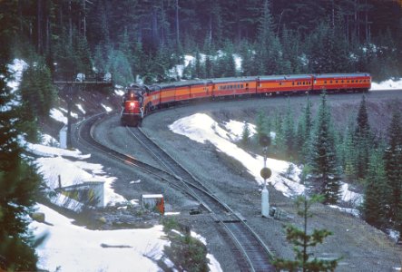 SP 8516 and 4449 With the Disney Daylight at Cruzatte, OR in March 1986 (33170844871)