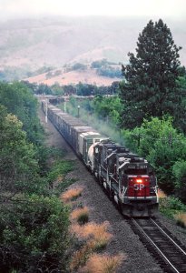 SP 8233 in the Siskiyou Mountains between Riddle and Myrtle Creek, OR on July 30, 1982 (32778286800) photo