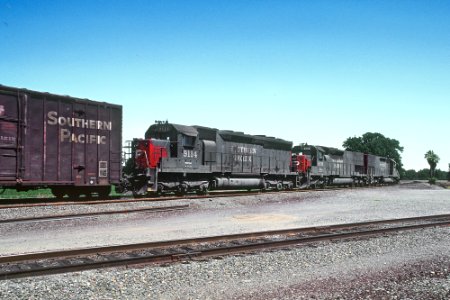 SP 8559 Coming at You in Tehama, CA in August 1982 -- 4 Photos (32985241722)