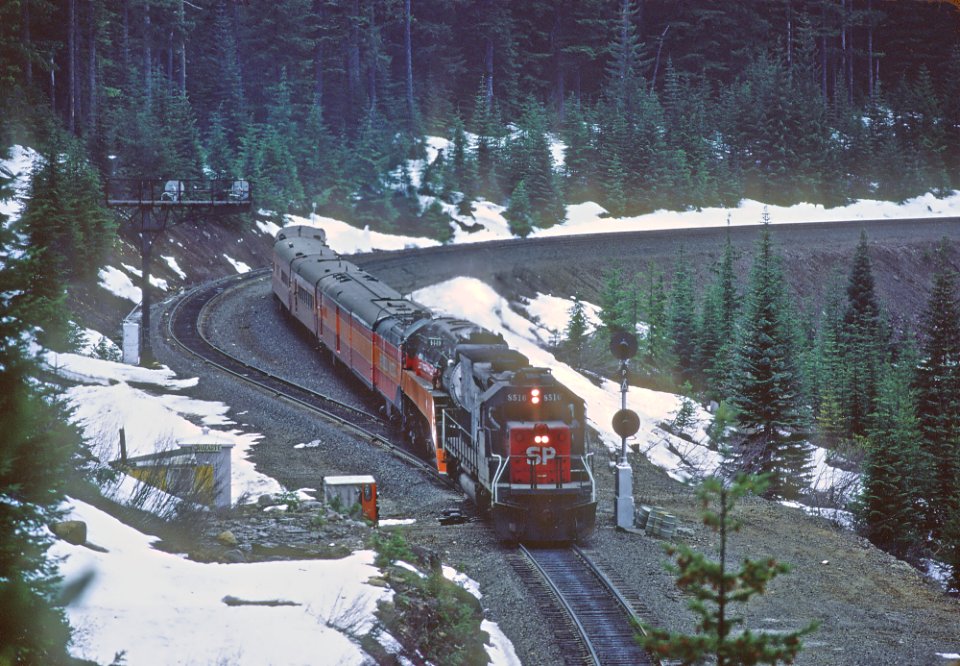 SP 8516 and 4449 With the Disney Daylight SP westbound (southbound) at Cruzatte, OR in March 1986 (33170845601)