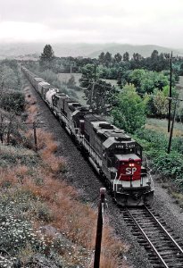 SP 8233 in the Siskiyou Mountains between Riddle and Myrtle Creek, OR on July 30, 1982 (32345847603) photo