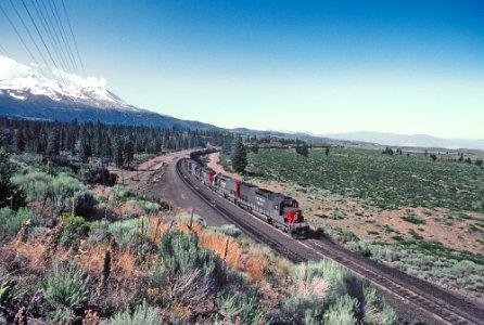 SP 8550, 8291, 7311, and 8313 in the siding at Andesite, CA in August 1982 -- 4 Photos (32508299194)