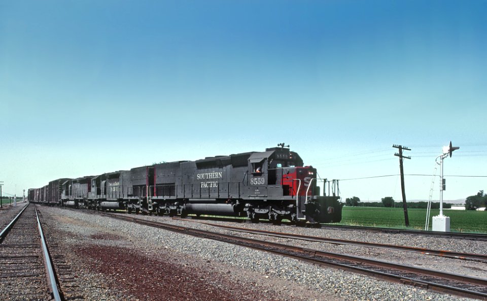 SP 8559 Coming at You in Tehama, CA in August 1982 -- 4 Photos (32326278463)