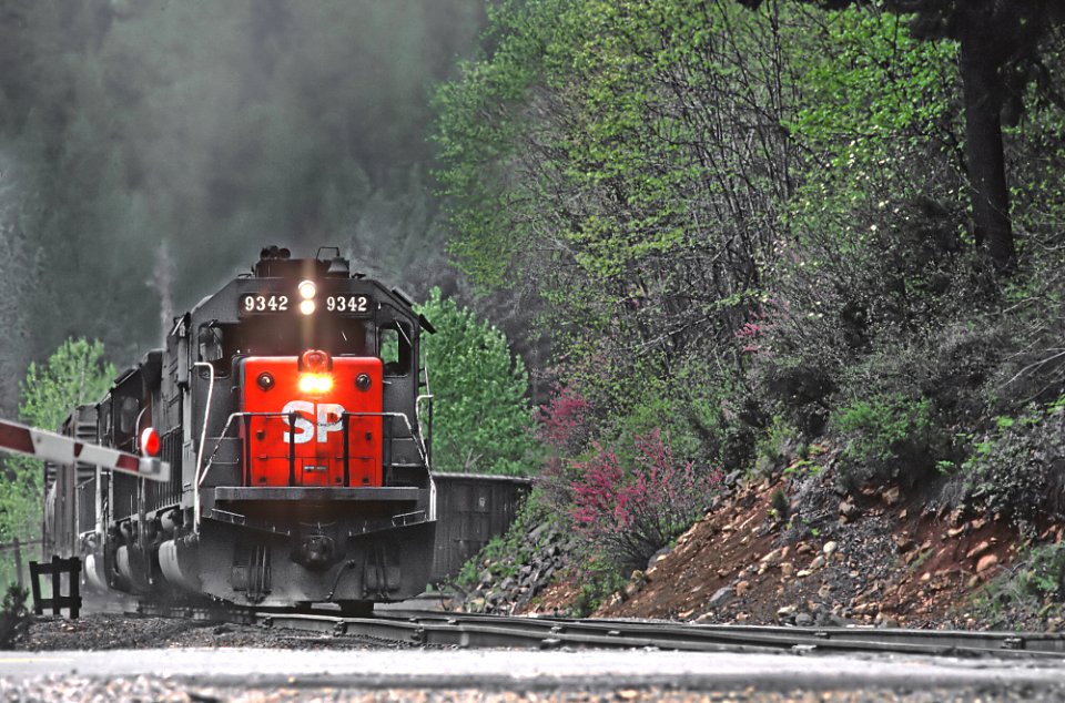 SP 9342 in Sims, CA in April 1981 (31150241646)