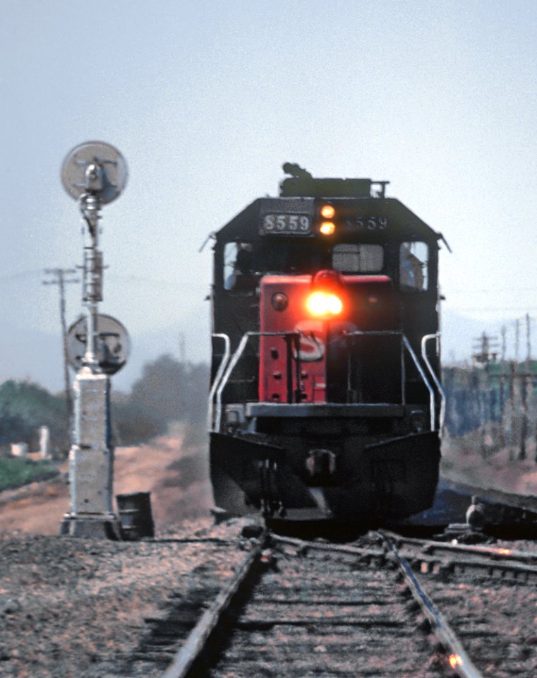 SP 8559 Coming at You in Tehama, CA in August 1982 -- 4 Photos (32985239362)