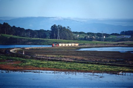 SP at Elkhorn Slough (a tidal slough off Monterey Bay) -- 4 Photos (33100381786)