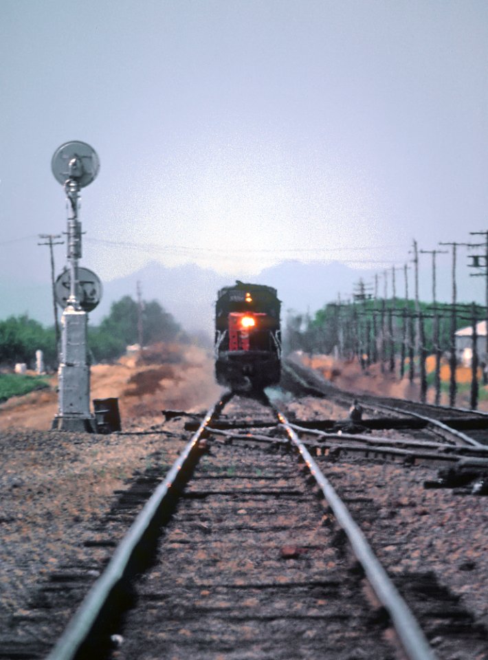 SP 8559 Coming at You in Tehama, CA in August 1982 -- 4 Photos (32985237902)