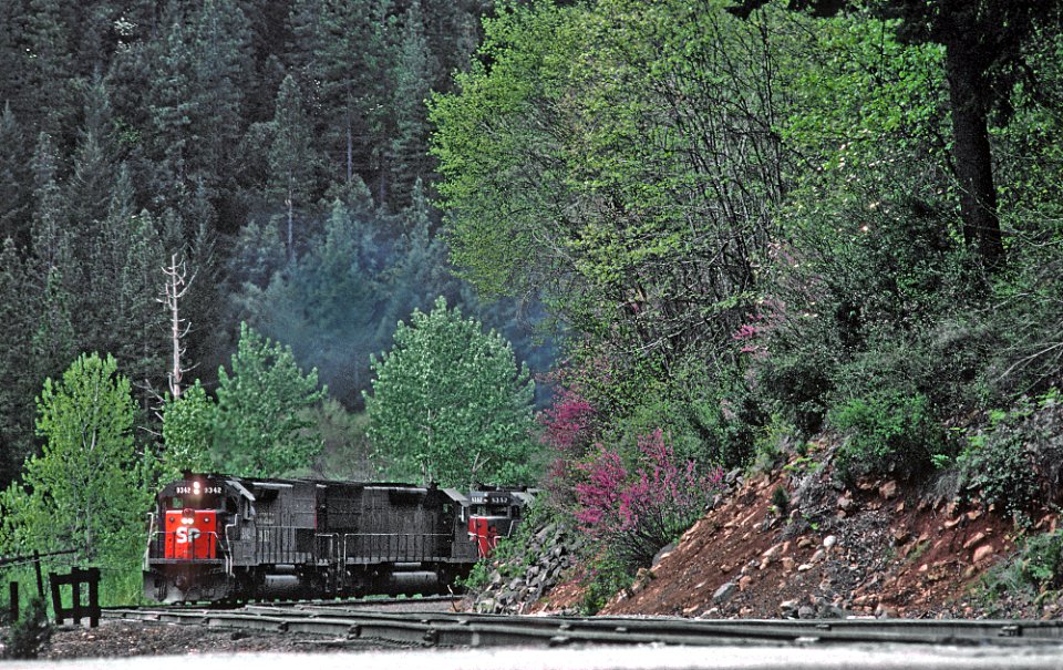 SP 9342 in Sims, CA in April 1981 (31185860295)