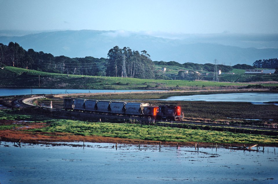 SP at Elkhorn Slough (a tidal slough off Monterey Bay) -- 4 Photos (32326253603)