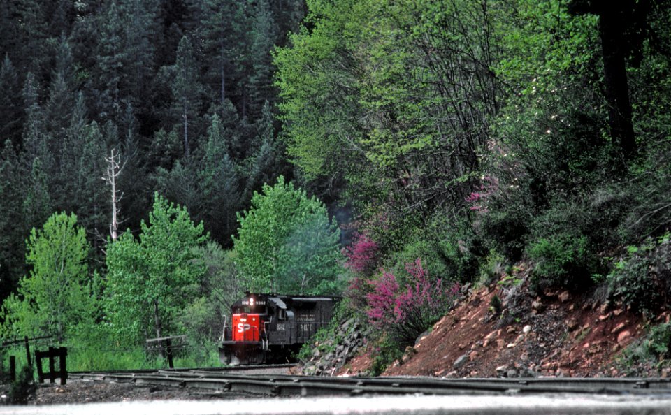 SP 9342 in Sims, CA in April 1981 01 (31185861635)
