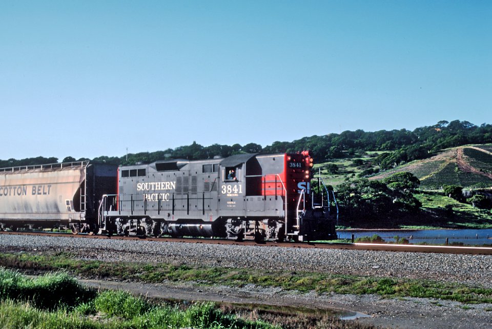 SP at Elkhorn Slough (a tidal slough off Monterey Bay) -- 4 Photos (32759152100)