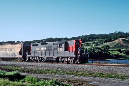 SP at Elkhorn Slough (a tidal slough off Monterey Bay) -- 4 Photos (32759152100)